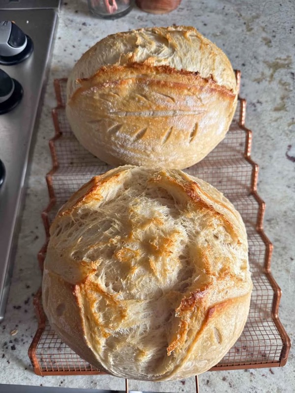 Organic Sourdough Loaves